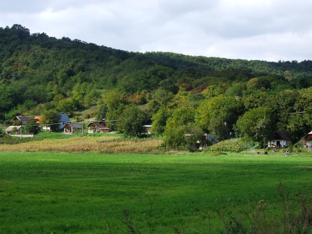 Penzion Julkin Dvor Krupina Extérieur photo